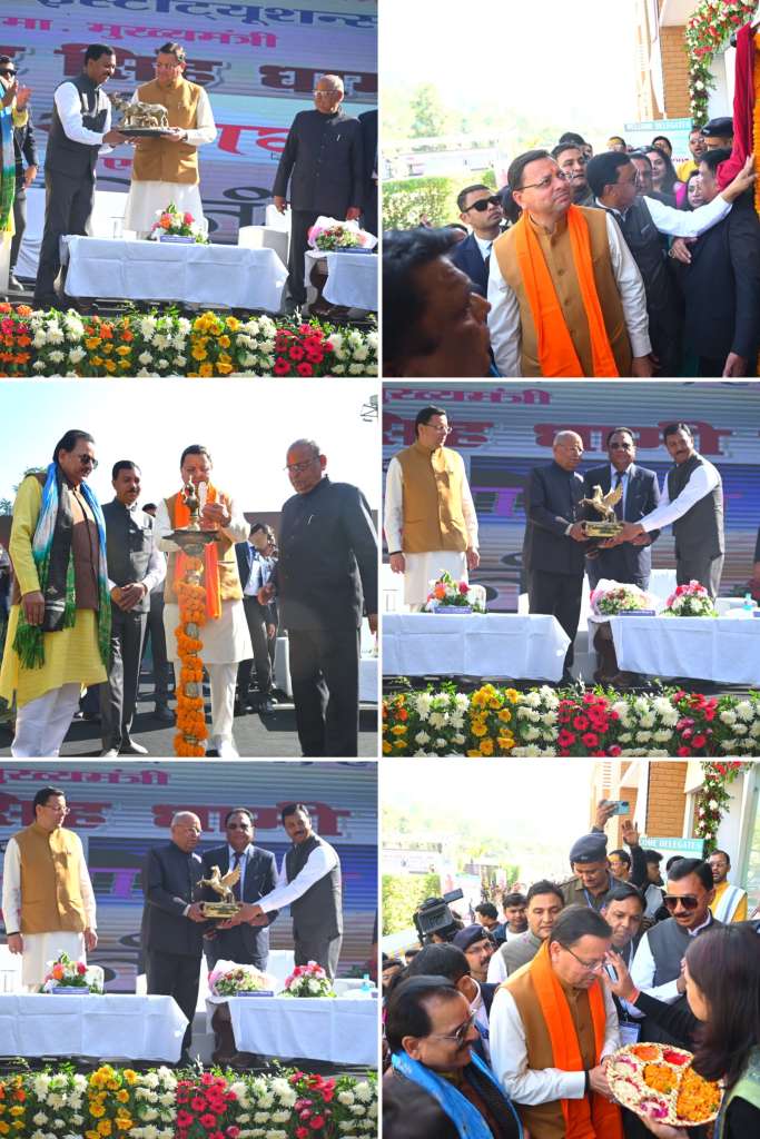 20251113_184943-COLLAGE