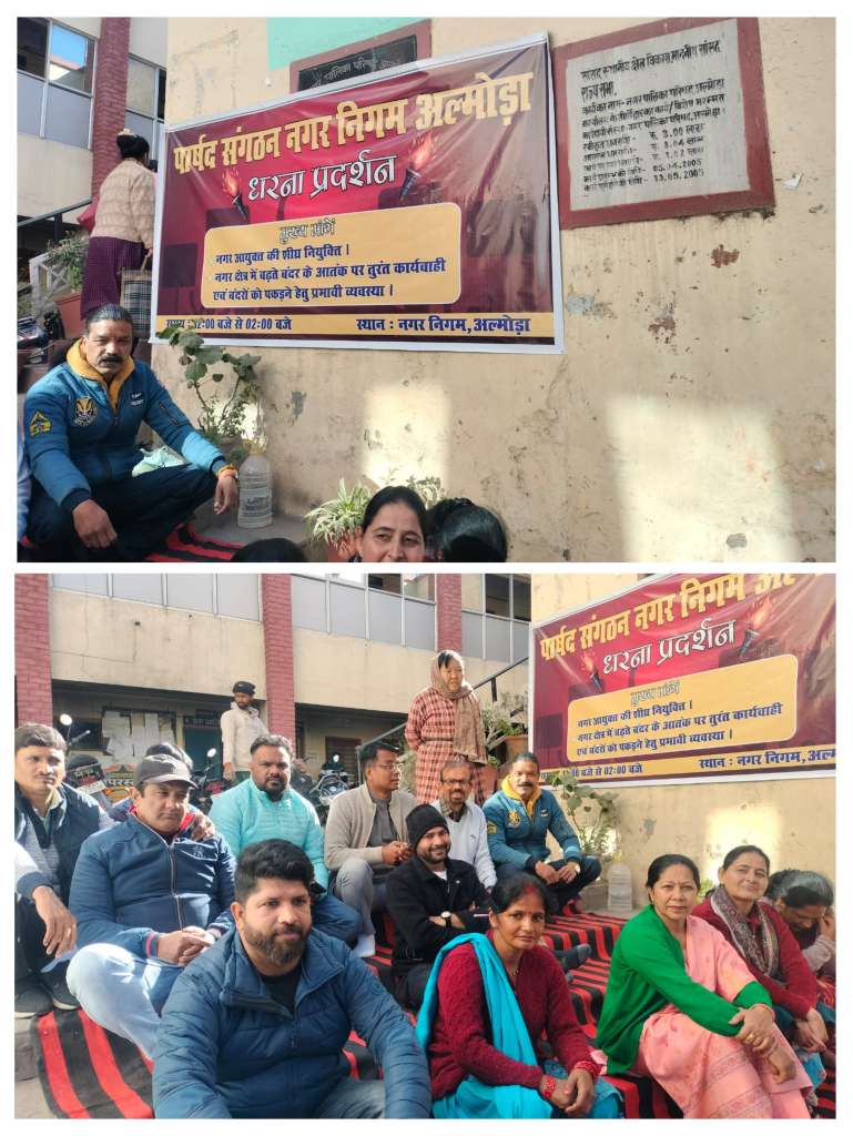 20251203_203830-COLLAGE