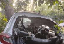 बाजपुर मार्ग पर दर्दनाक हादसा: कार पेड़ से टकराई, दो युवकों की मौत; 5 घायल, जिनमें 2 बच्चे शामिल