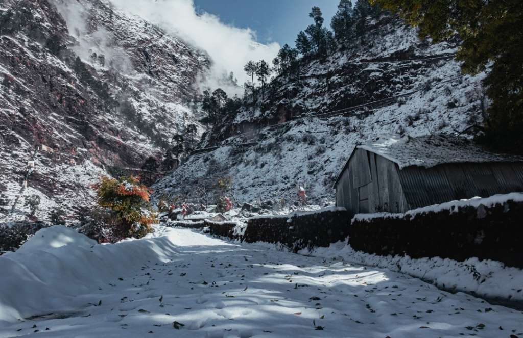 Screenshot_20251201-081539~2