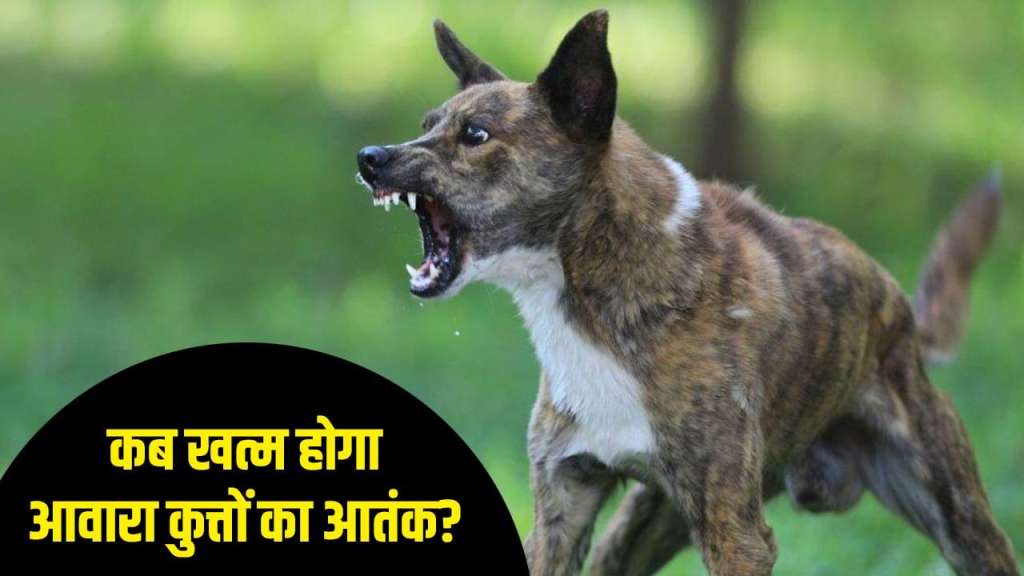 whatsapp-image-2025-07-29-at-10.27.18