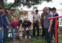 सुदर्शन शाखा जाखन देवी ने चिन्त्रेश्वर महादेव मंदिर परिसर में किया वृक्षारोपण, पर्यावरण संरक्षण का दिया संदेश।